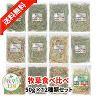 【チモシーお試しセット】12種類 チモシー うさぎ牧草 50g×12 アメリカ産1番刈りシングル ダブル 2番刈…