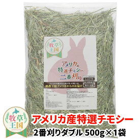 うさぎ 牧草 アメリカ産 特選チモシー 2番刈り ダブル 500g ウサギの餌 おやつ もふぱふぇ 牧草王国 チンチラ デグーモルモット ハムスター 送料無料
