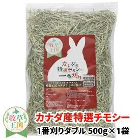 うさぎ 牧草 カナダ産 特選チモシー 1番刈り ダブル 500g ウサギの餌 おやつ もふぱふぇ 牧草王国 チンチラ デグー モルモット ハムスター 送料無料