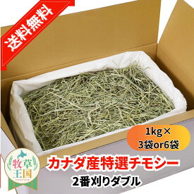 うさぎ 牧草 カナダ産 特選チモシー2番刈りダブル 1kg×3袋 6袋 6kg うさぎ牧草 ウサギ チモシー カナダ ダブルプレス 2番刈り 二番刈り mofu parfait もふぱふぇ 牧草王国 チンチラ うさぎ モルモット 牧草 えさ 敷材 ダブル ソフト ※ オーツヘイ キューブ ではありません