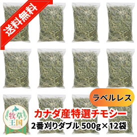 うさぎ 牧草【送料無料】カナダ産 特選 チモシー 2番刈り ダブル 500g×12袋 ウサギ 餌チンチラ ハムスター モルモット デグー エサ もふぱふぇ 牧草王国