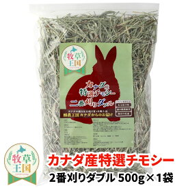 カナダ産特選チモシー2番刈りダブル 500g うさぎ牧草 ウサギ チモシー カナダ ダブルプレス 2番刈り 二番刈り mofu parfait もふぱふぇ 牧草王国 チンチラ うさぎ モルモット 牧草 えさ 敷材 ダブル ソフト ※ オーツヘイ キューブ ではありません