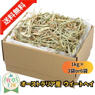 うさぎ 牧草 ウイートヘイ 1kg×3袋 1kg×6袋 うさぎ 牧草 大容量 業務用 牧草 えさ 餌 エサ フード うさ…