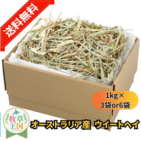 うさぎ 牧草 ウイートヘイ 1kg×3袋 1kg×6袋 うさぎ 牧草 大容量 業務用 牧草 えさ 餌 エサ フード うさぎの餌 うさぎ牧草 うさぎ 高齢 飽き 牧草 オーストラリア産 牧草王国 モルモット うさぎ mofu parfait もふぱふぇ ※ 牧草入れ アルファルファ ではありません sss
