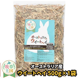 うさぎ 牧草 ウィートヘイ 500g 1袋 うさぎ オーストラリア産 うさぎ牧草 牧草 えさ 餌 エサ フード うさぎの餌 牧草王国 うさぎ 高齢 飽き 牧草 モルモット mofu parfait もふぱふぇ ※ 牧草入れ アルファルファ ではありません SSS