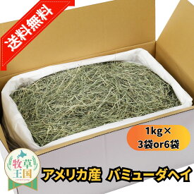 うさぎ 牧草 バミューダヘイ 【 1kg×3袋 1kg×6袋 選べる 】 ウサギ エサ 餌 牧草 500g×3袋 ウサギ うさぎ牧草 食べやすい 柔らかい うさぎ 牧草 毛球ケア 高品質 餌 敷材 うさぎ牧草 mofu parfait ※ 箱 業務用 種 ウィートヘイ ではありません