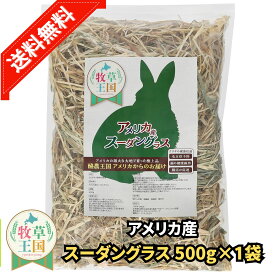 うさぎ牧草 500g うさぎ 牧草 ウサギ スーダングラス ウサギ エサ 餌 牧草 健康 うさぎ 牧草 低カロリー 出っ歯予防 餌 うさぎ牧草 毛球ケア 高品質 mofu parfait ※ 業務用 種 箱 ウィートヘイ ではありません