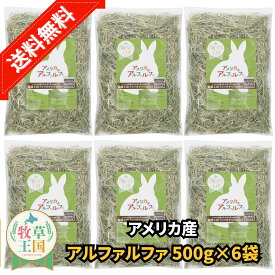 【送料無料うさぎ 牧草 アルファルファ 500g×6袋 ウサギ チンチラ ハムスター デグー mofuparfait もふぱふぇ えさ 敷材 牧草王国 ※ オーツヘイ キューブではありません