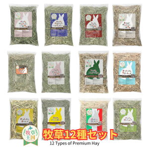  q 12Zbg 500g×12 `V[ EC[gwC C^ACOX X[_OX At@t@ o~[_wC I[cwC NCOX ӂςӂ q