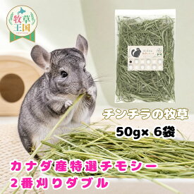 チンチラ 牧草 カナダ産 特選チモシー 2番刈り ダブル 50g×6袋 50g×12袋 ちんちら 餌 毛球症対策 不正咬合 繊維質 うっ滞防止 食いつき プレミアムフード 健康ケア もふぱふぇ セレクション 牧草王国 送料無料