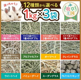 【1kg×3袋】12種類から選べる うさぎ 牧草 3種セット オーツヘイ アルファルファ チモシー クレイングラス ウイートヘイ バミューダヘイ スーダングラス キューブ アメリカ産1番刈り 2番刈り 北海道産 ウサギ モルモット エサ ※ 牧草入れ お試しセット ではありません