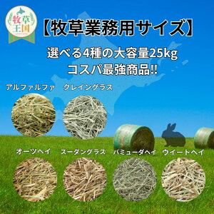  qy25kgz6ނIׂ ETM X[_OX ETM GT a q N  q J[ o\h a q ыPA i mofu parfait  Ɩp  