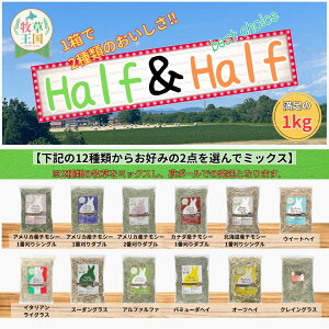  q Iׂ 2 1kg `V[ EC[gwC C^ACOX X[_OX At@t@ o~[_wC I[cwC NCOX ӂςӂ q