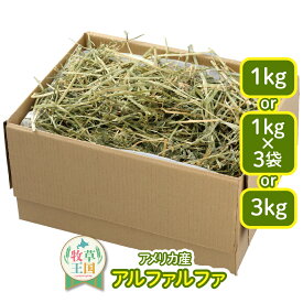 【ラベルレス】【お値段以上】ウサギ 牧草 うさぎ アルファルファ ダブルプレス 牧草王国 1kg 1kg×3袋 3kg アメリカ産 アメリカ US 1番刈り 一番刈り うさぎ 牧草 mofu parfait もふぱふぇ チンチラ うさぎ モルモット 牧草 えさ 敷材　ラベルレス