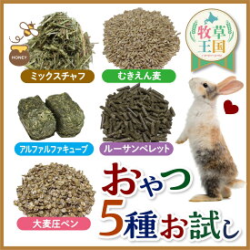 【お試しおやつ】うさぎ おやつ ペレット 牧草 お試しセット 100g×5種類 うさぎ 牧草 キューブ フード アルファルファキューブ ルーサンペレット 大麦圧ペン ミックスチャフ 麦 ウサギ 餌 牧草王国 mofu parfait もふぱふぇ ※ オーツヘイ ではありません sss