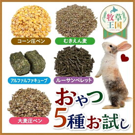 【お試しおやつ】うさぎ おやつ ペレット 牧草 お試しセット 50g×5種類 うさぎ 牧草 キューブ フード アルファルファキューブ ルーサンペレット 大麦圧ペン コーン圧ペン 麦 ウサギ 餌 牧草王国 mofu parfait もふぱふぇ ※ オーツヘイ ではありません sss
