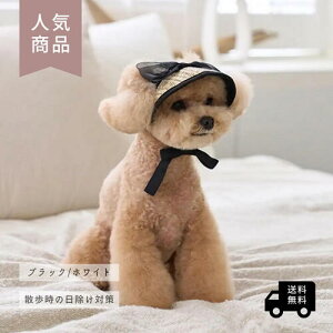  Xq ToCU[  t   悯 [X t { ؍ 킢  ^ ^ TVF[h U  ̎q j̎q Be  EȒP  