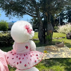   s[X t t `[ XJ[g p[X ԕ  sN F  ̎q  U ₷ L ^ hX xs