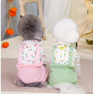   t Tybg 킢  ؍ sN   WvX[c ₷ EȒP ^ ^ U  Y{ ̎q 2xl s