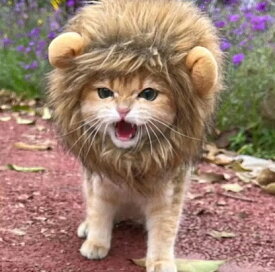 【1/18 楽天カードご愛顧クーポン対象★】ペット用 ライオン たてがみ ウィッグ 鬣 おもしろ ハロウィン 被り物 犬 猫 かわいい ふわふわ 仮装 イベント 着脱簡単 耳付き 帽子 コスプレ s m l