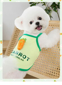   L~\[ t  t[c  ₷  N[  lQ Ȃ xXg 킢 h~ XL 2XL