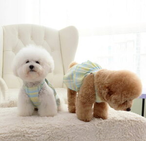   s[X `FbN ؍ t 킢   p[X  ₷ t  ̎q U s Ȃ XL 2XL