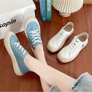 Xj[J[ C fB[X l V[Y  LoX fj   u[ RC ₷ Ȃ JWA ig ^C Vv ؍