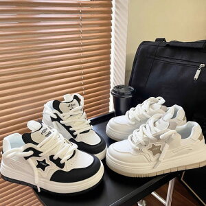 Xj[J[ C fB[X  g X^[  Y2K nCJbg obV X|[eB 킢 ؍   x[W r ₷ JWA