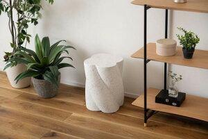 TChe[u  k Q O[ zCg X _CjO [e[u xbhTCh cCXg 嗝Ε gݗĕsv e][ CeA iCge[u 40cm 32cm 