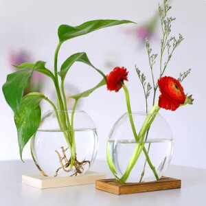 S2 ԕr ֑} KX  ؐ Ebh  t[x[X k ؍ CeA Be[W } ϗtA hCt[