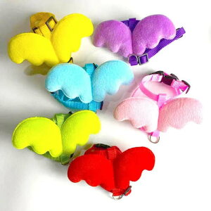 S6F XS`MTCY ETM w Vg̉H n[lX [h   lR L   ybg U hX ߑ  ~