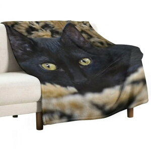 150×200cm L  CXg  ubN bL[Lbg ֎q fUC 唻 ѕz uPbg ItBX ^ ӂӂ  RpNg 傫 G|  \t@[ x