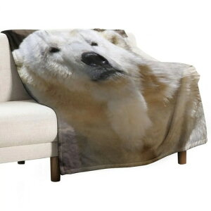 150×200cm zbLNO}  CXg  zCg k ֎q fUC 唻 ѕz uPbg ItBX ^ ӂӂ  RpNg 傫 G|  \t@[ xb