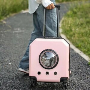 ybgL[J[g t 2J[  ʋC o  d hCu Lv ybgpi ObY ANZT  ^ L qL    O S S fUC P