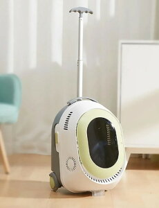 ybgL[J[g X}[gobO t ՔM @\ ʋC o  d hCu Lv ybgpi ObY ANZT  ^ L qL    O ЊQ 