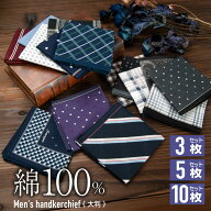 ハンカチ メンズ ビジネス セット 綿100％ 10枚組 5枚組 3枚組 大判 チェック柄 男性 吸水性 コンパクト …
