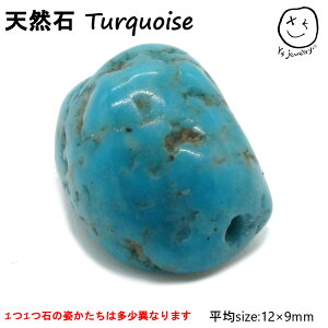 䂤pPbg  Ys jewelry y1̔ VR ^[RCY turquoise gR _u r[Y lbNX p[c z AJ lCeBu CfBA WG[ zs ANZT[ 