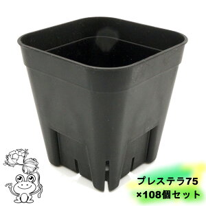 �䂤�p�b�N �������� �v���X�e��75�y108�Z�b�g�z2���� �X���b�g���� �v���� �v���X�`�b�N�� �c�c ���� ��c �����A�� �T�{�e�� �A�K�x �r�J�N�V�_ �A���X�����[�� �� �ϗt�A�� �� black �u