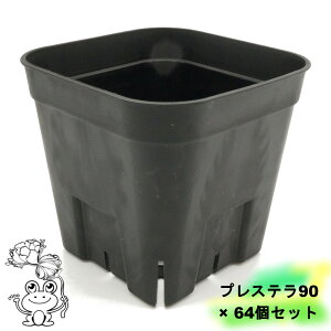 �䂤�p�b�N �������� �v���X�e��90 �ʏ�^�y64�Z�b�g�z2.5���� �X���b�g���� �v���� �v���X�`�b�N�� �c�c ���� ��c �����A�� �T�{�e�� �A�K�x �r�J�N�V�_ �A���X�����[�� �� �ϗt�A�� �� 