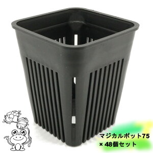 �䂤�p�b�N �������� �}�W�J���|�b�g75�y48�Z�b�g�z2���� �X���b�g���� �v���� �v���X�`�b�N�� �c�c ���� ��c �����A�� �T�{�e�� �A�K�x �r�J�N�V�_ �A���X�����[�� �� �ϗt�A�� �� black 