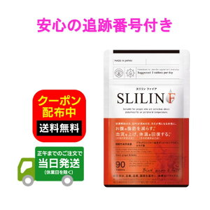 X t@CA SLILIN F 22.5g ( 250mg × 90 ) LY ZERO PLUS Tv Tvg ubNWW[  