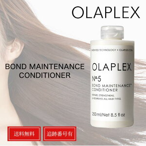 �y���K�i�z�I���v���b�N�X No.5 �{���h�����e�i���X �R���f�B�V���i�[ 250ml OLAPLEX �f�C���[ �g���[�g�����g �u���[�` �_���[�W�P�A ���K�i �w�A ���e ���� ���e�� �_���[�W �� �c�� �������P 