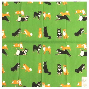 `NX Č̂΂ Ȃ ėF ٓ Mtgɂ ēc V[Y [֔ GS-222-44