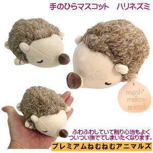 nlY~ ʂ ̕TCY }XRbg tbtB[Aj} v~A˂ނ˂ރAj}Y Ԃ͂ Č R^E ei Mtg