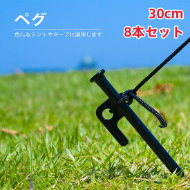 『送料無料』ペグ 20cm 強靭 スチールペグ キャンプ テント タープ 設営 レーザー溶接 伸線加工 防錆塗装