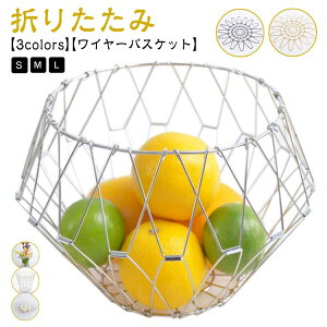 �X�e�����X�o�X�P�b�g ������� ���C���[�o�X�P�b�g �ό` �t���[�c�o�X�P�b�g �ی^ �ԕr �ω��ɕx�ގ��[���� ���C���[�{�E�� �t���[�c�g���C �o�X�P�b�g �f�B�X�v���C �t���[�c�{�E��