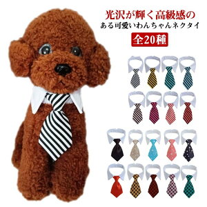 2TCYWJ {[_[ ybgp lN^C  S20  p ˂ LO  ʐ^Be ANZT[ Lp Lp ^ ^ 킢 TCY\ `FbN q