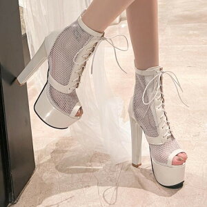 T}[u[cu[cT_ ҂ݏグV[YV[gu[c[q[T_nCq[ăV[X[15Z`q[fB[XC