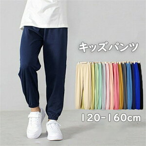 q Y{ Y{  pc LbY ǂ WK[pc T}[pc  Rbg100 100 S j̎q ̎q jp EGXgS ʋCz jZbNX