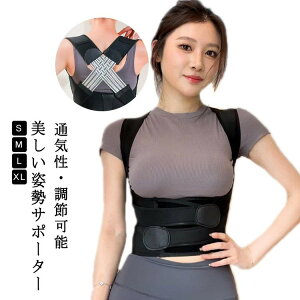 yԌ2_w300~OFFIzLwxg j pxg  pT|[^[ w؋xg Ci[ q Lw   xg Y fB[X 傫TCY  p